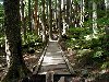 Mount Si Hike