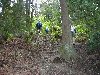 Check out the Tiger Mtn Hike