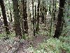 Check out my hike at Twin Falls